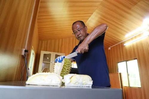 国产熟,匠心独运的味蕾之旅  第2张 国产熟,匠心独运的味蕾之旅  第2张