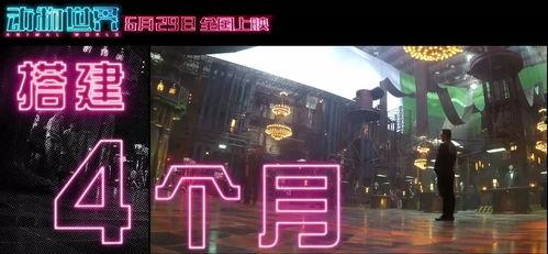 福利视频国产  第3张